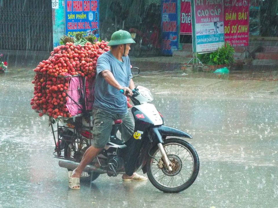vai thieu 3.jpg