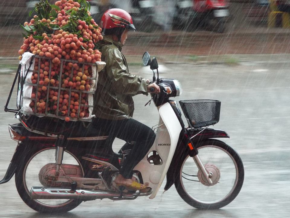 vai thieu 4.jpg