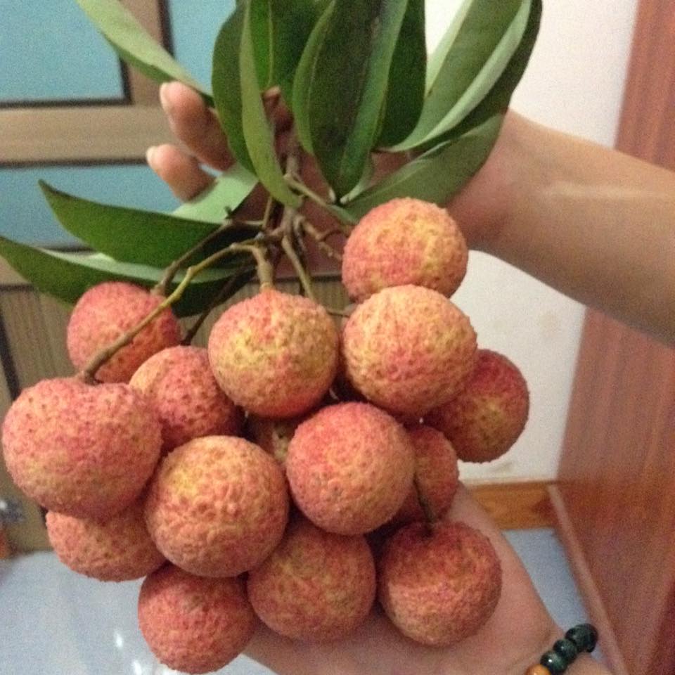 vai thieu.jpg